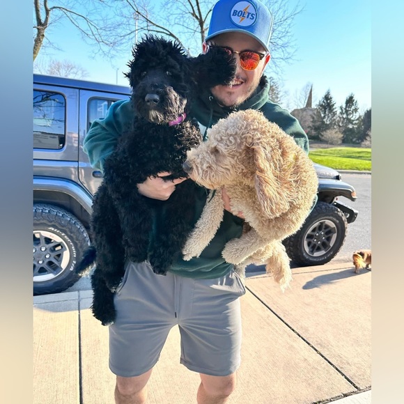 Meet your Posher, Theresa - Picture 6 of 16